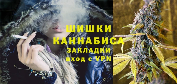 хмурый Горняк