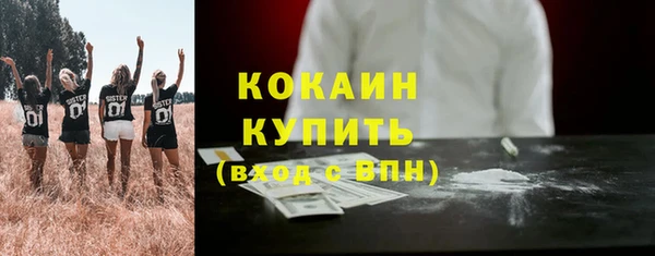 хмурый Горняк
