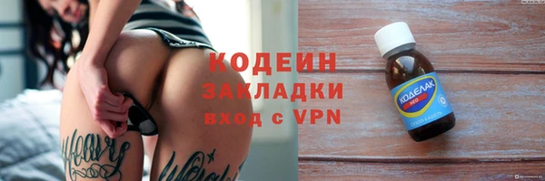 хмурый Горняк