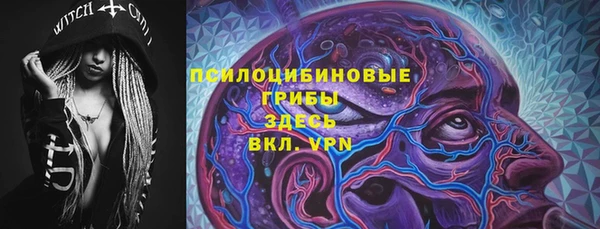 хмурый Горняк