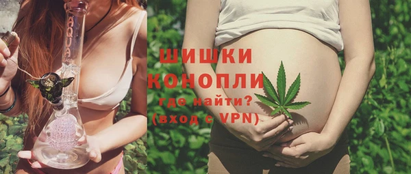 крисы Горнозаводск
